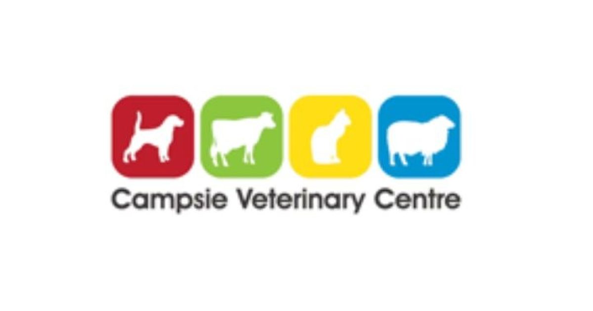 Central Vacuum System in Veterinary Building BEAM